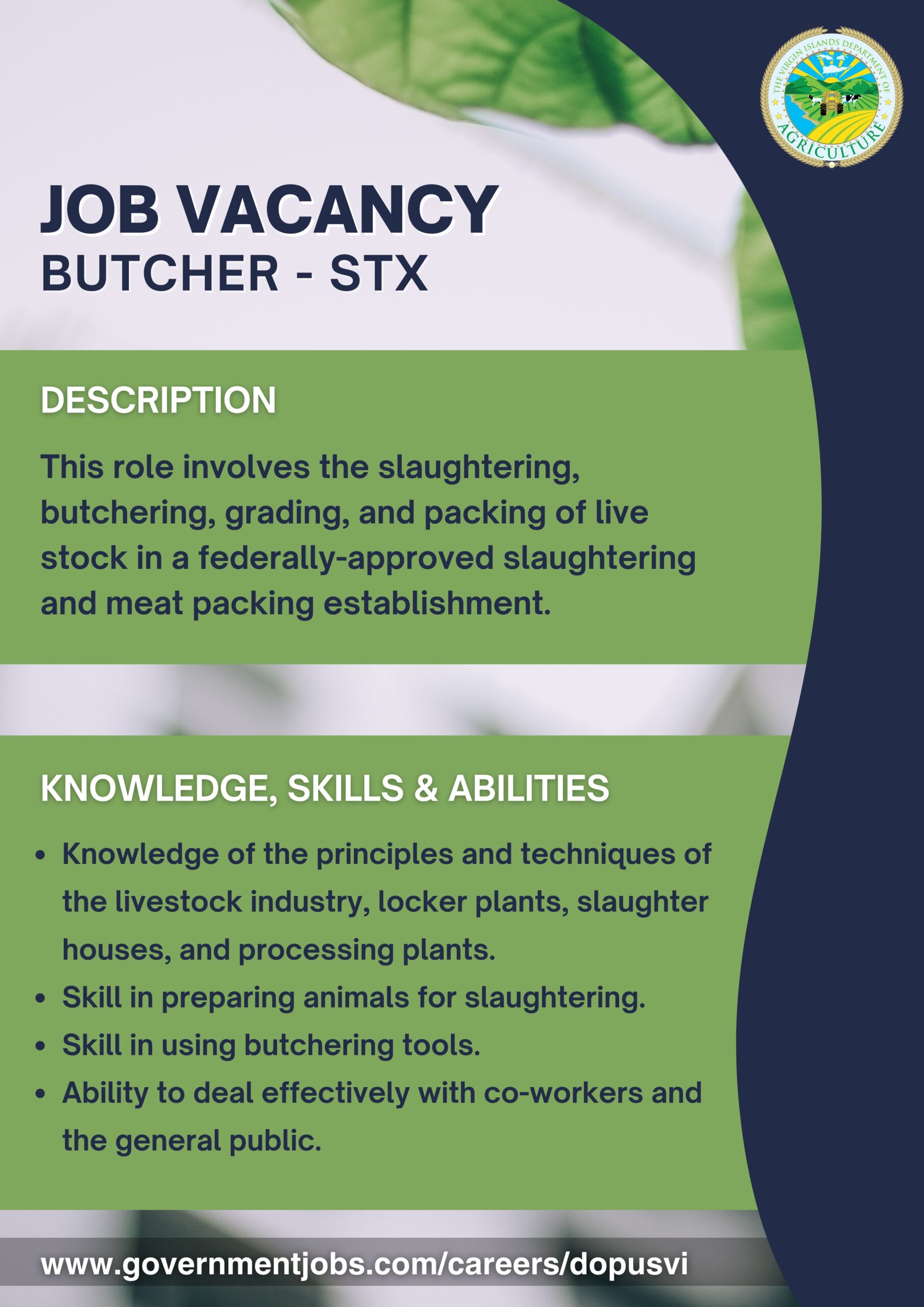 Vacancy